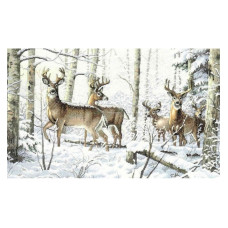 Набор для вышивания DIMENSIONS Зима в лесу (35130)