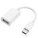 Переходник для Type-C на USB адаптер для USB-C на флешку кабель для подключения камеры PAVLYSH (PA-18)